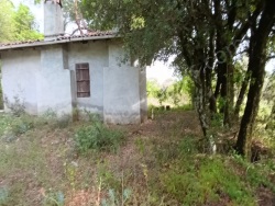 Menteşe Yaraş Satılık Çiftlik 2+1 1228 M2 | Müstakil | 1 Banyo | 2 Yatak Odası